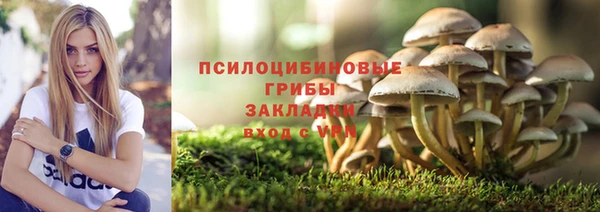 герыч Богородск