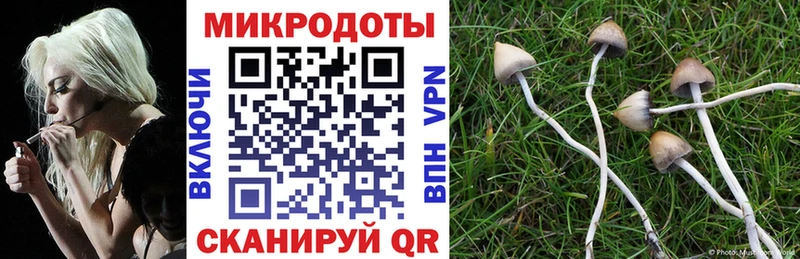 закладка  Кедровый  нарко площадка формула  Псилоцибиновые грибы GOLDEN TEACHER 